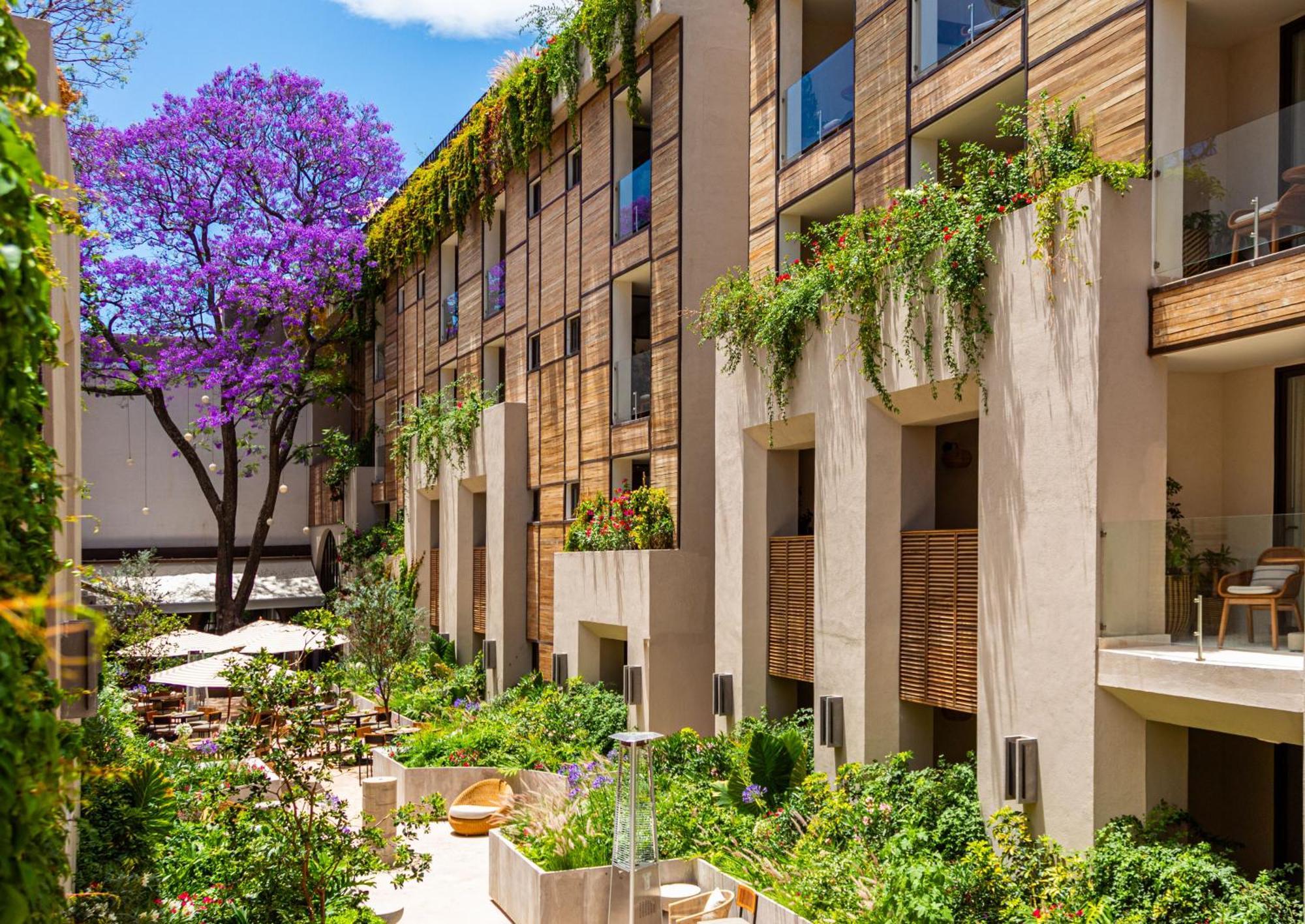 Numu Boutique Hotel, The Unbound Collection By Hyatt ซานมิเกล เด อาเญนเด ภายนอก รูปภาพ