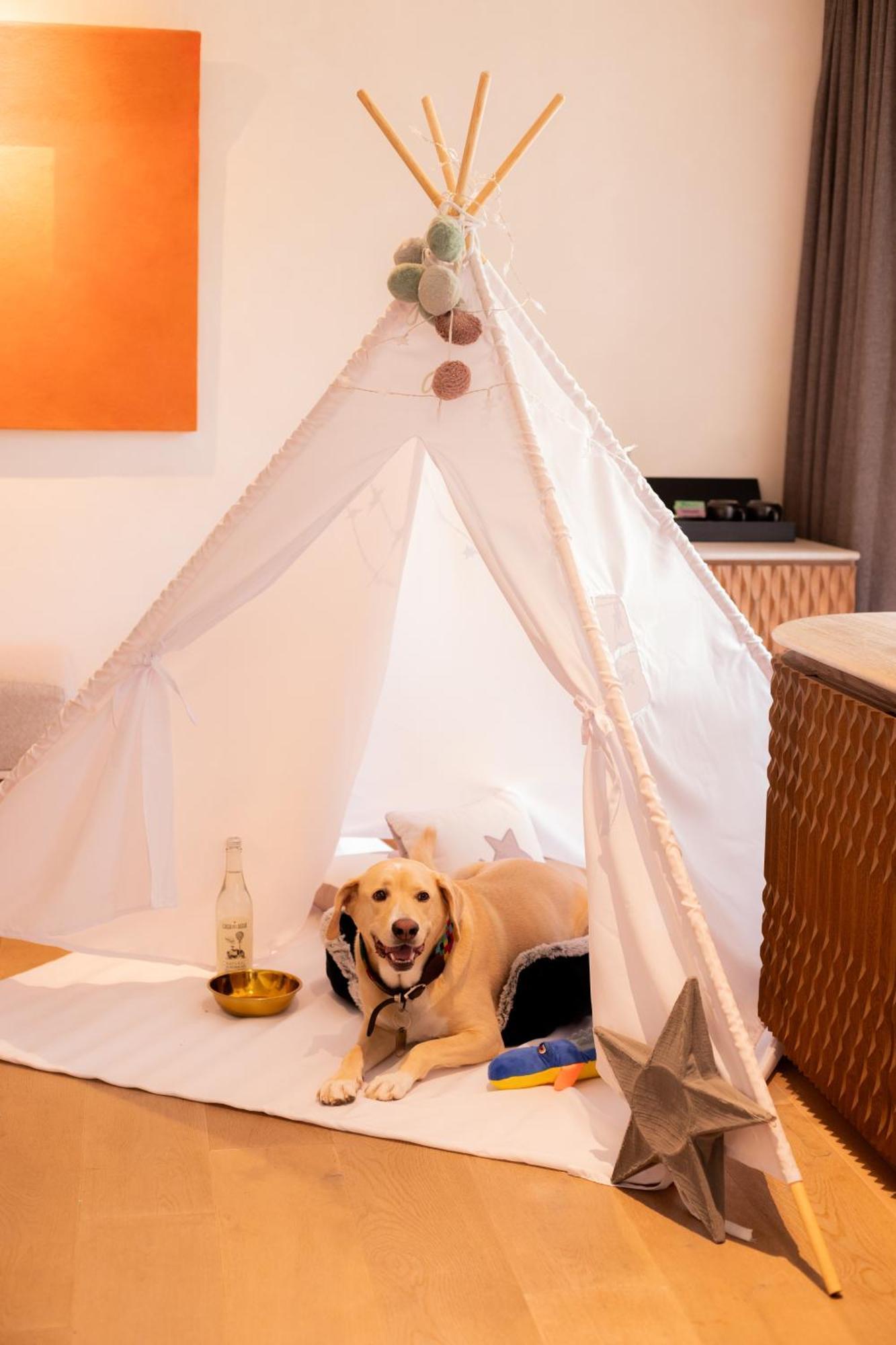 Numu Boutique Hotel, The Unbound Collection By Hyatt ซานมิเกล เด อาเญนเด ภายนอก รูปภาพ